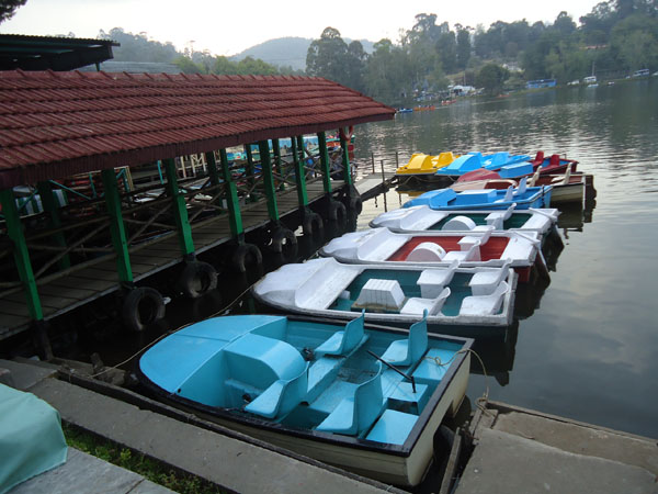 Cottage in kodaikanal