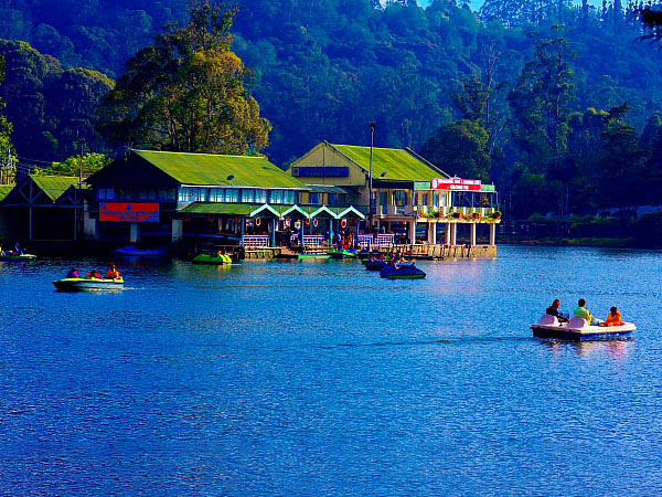 Cottage in kodaikanal